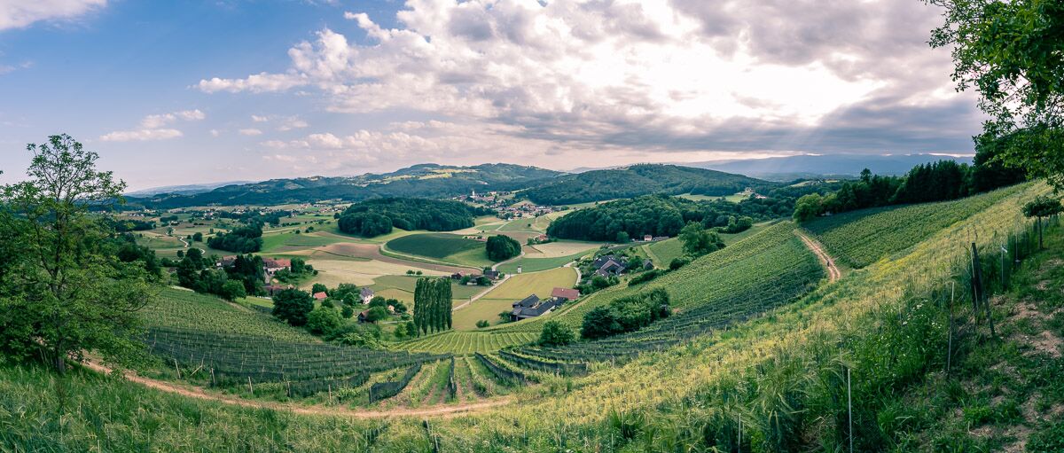 Hochzeit im Weingut Harkamp